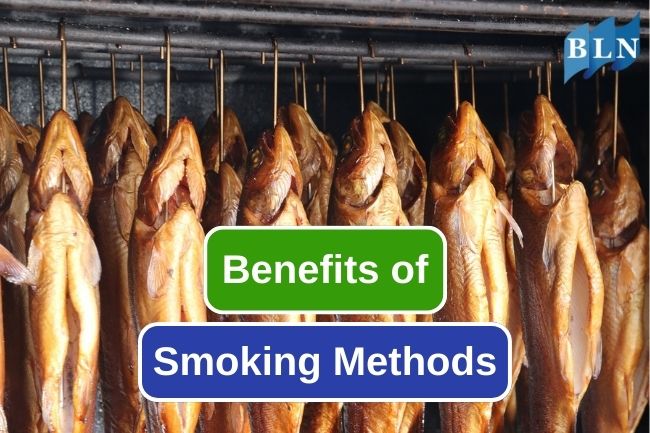 7 Reason Why Smoking Is A Great Way To Preserve Fish